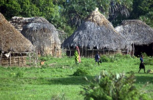 Sacred-Mijikenda-Kaya-Forests-Kenya